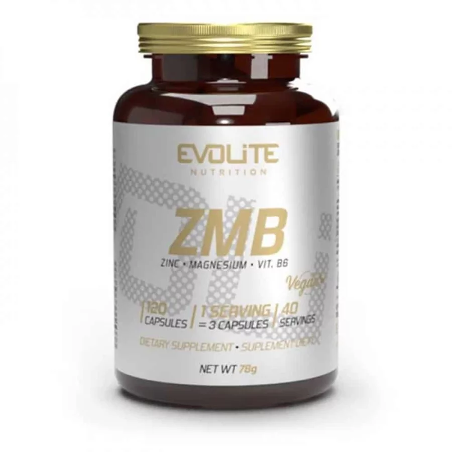 zmb-evolite-120-1000×1000