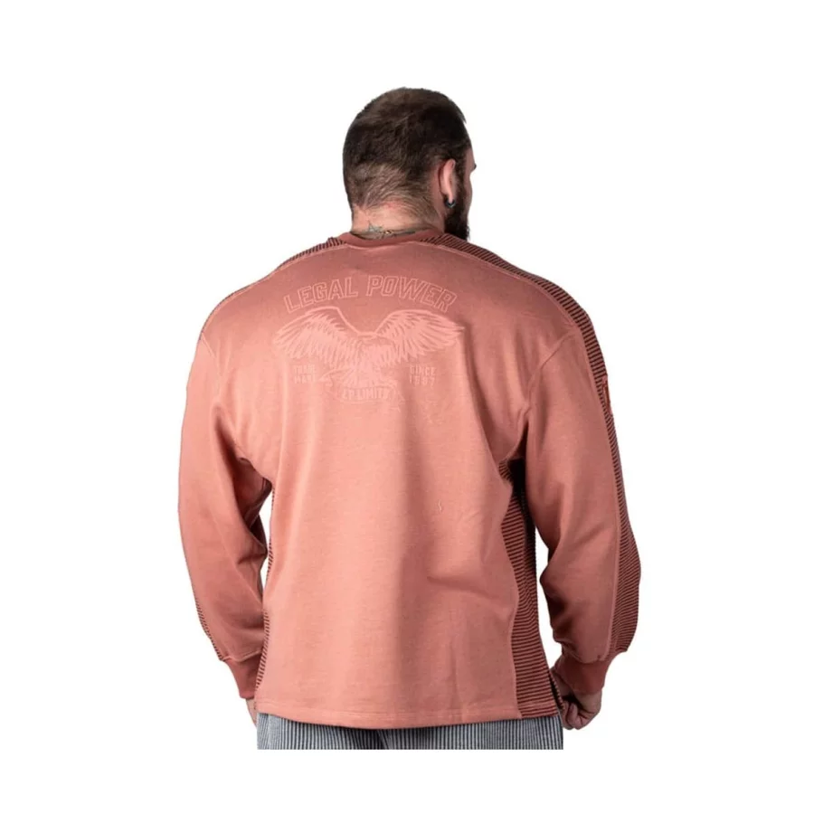 sweater-eagle-bostomix-2745-864405 (10)