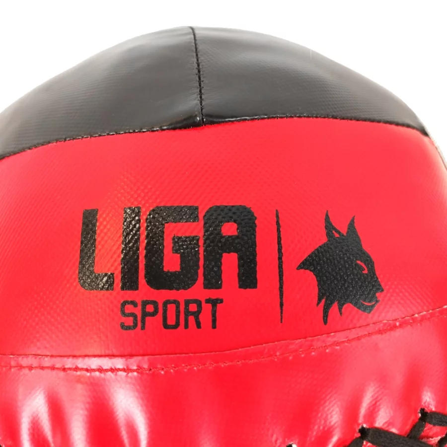 WALL-BALL-8KG-LIGASPORT