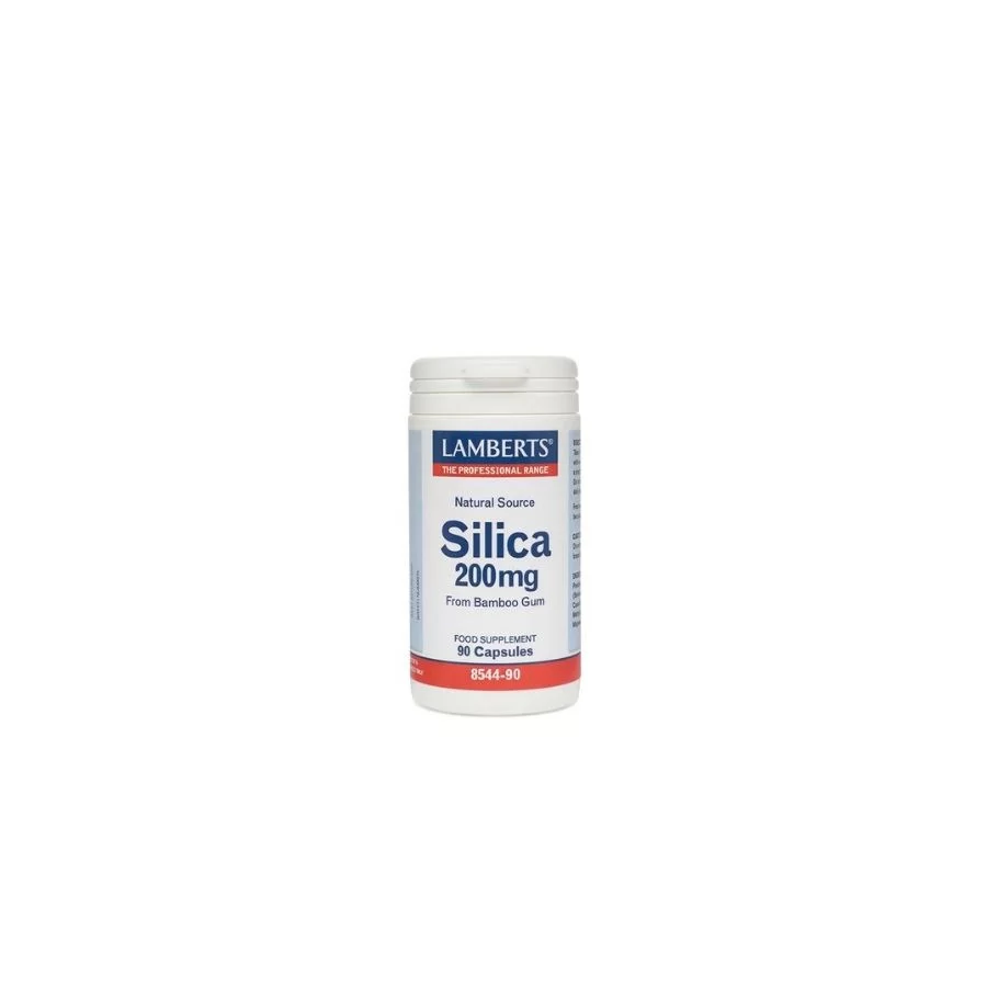 Lamberts Silica 200mg (90 Caps)