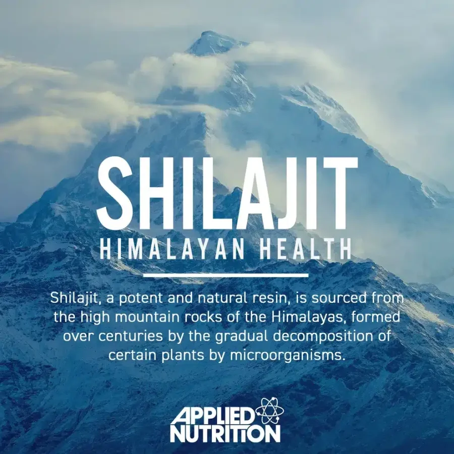 ShilajitImage3