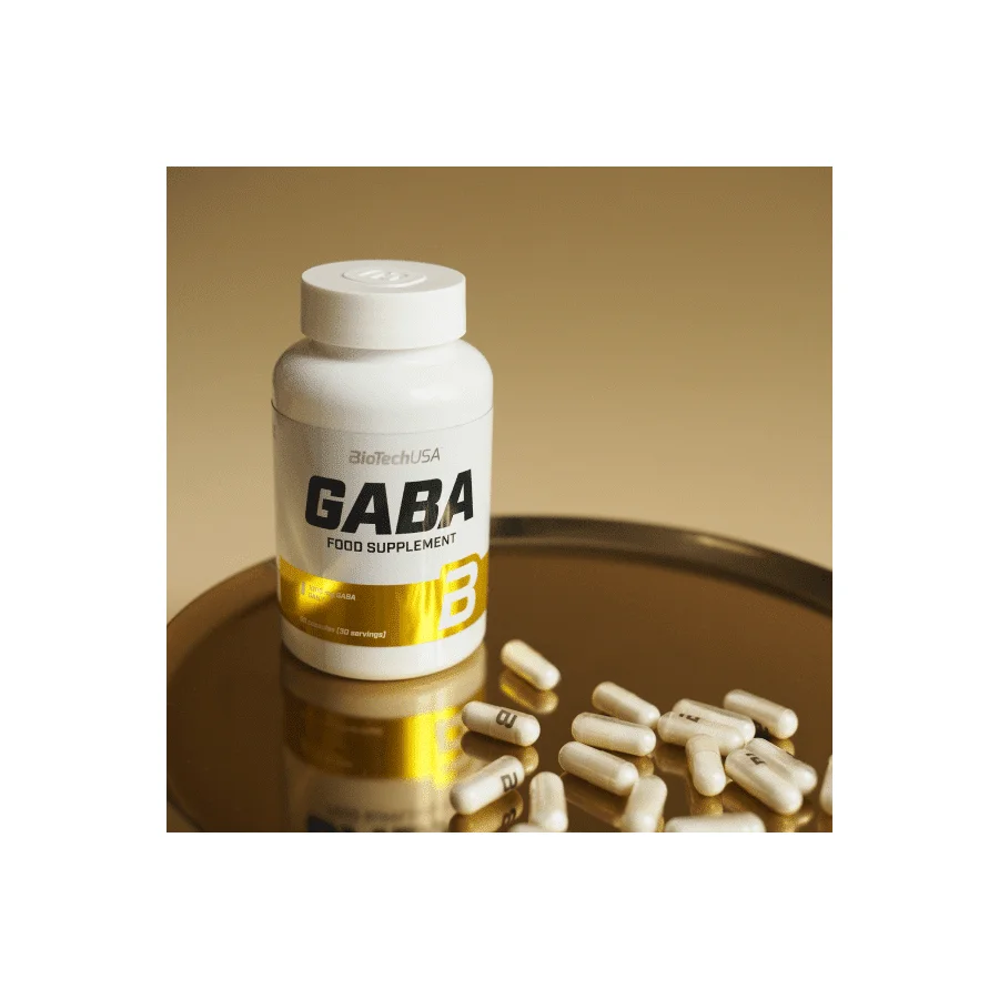 03gaba_1