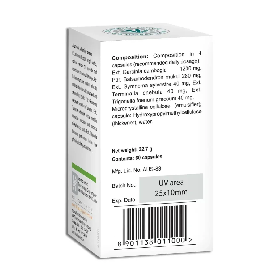 AyurSlim-2024-4