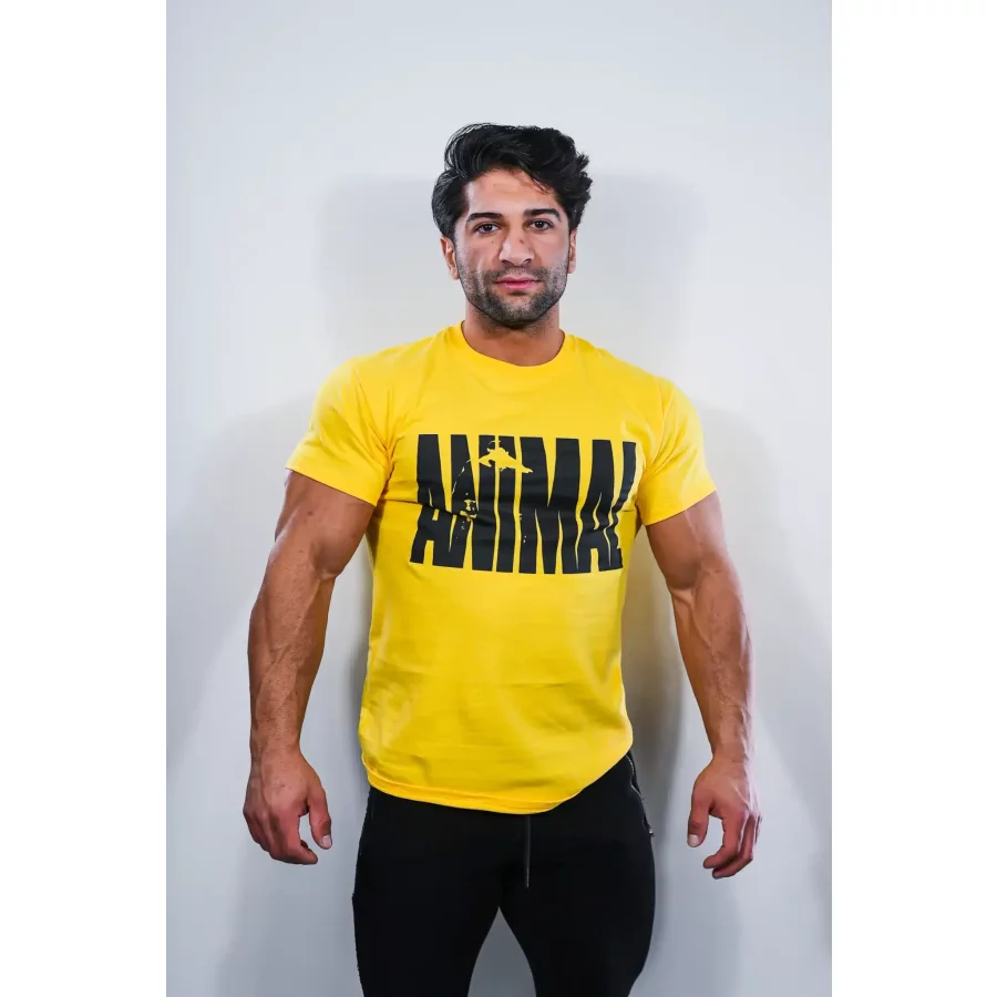 hamza-yel