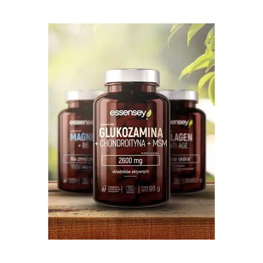 glukozamina-chondroityna-msm-w-120-kapsulkach (2)