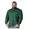 Legal Power Sweater "Eagle Bostomix" Dark Green 2745-864/405